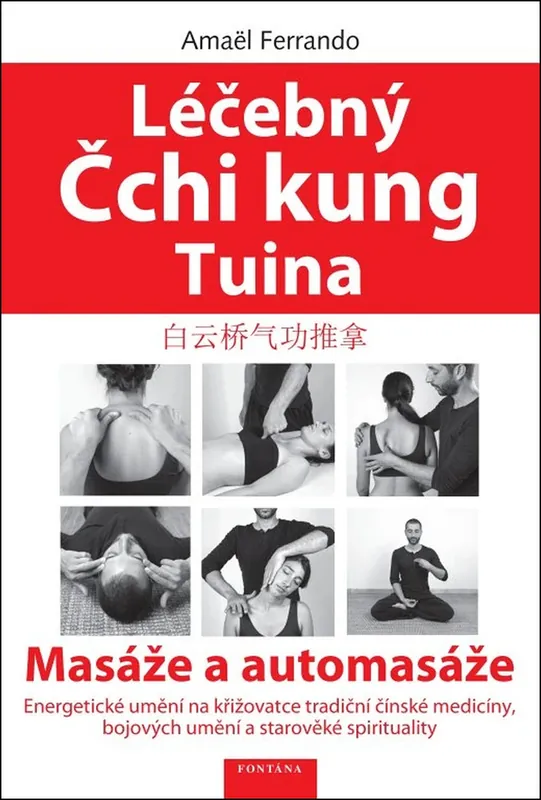 Rychlé Dodání Léčebný Čchi kung Tuina