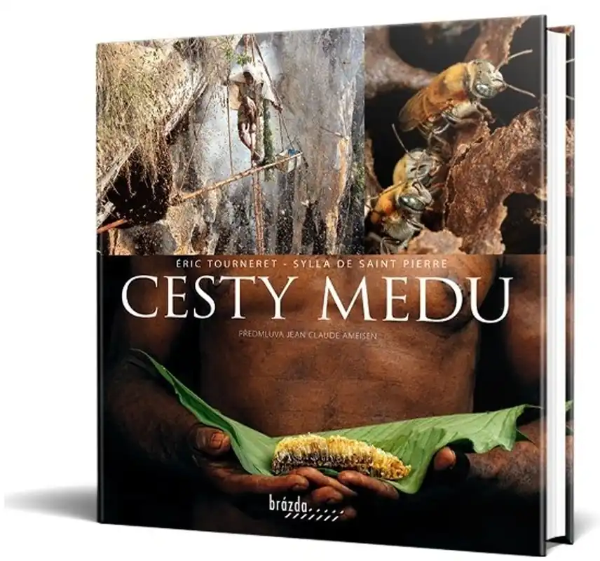 Cesty medu Nejlepší Cena