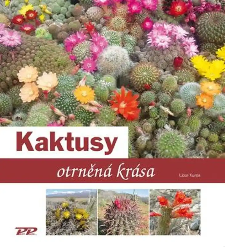 Kaktusy Nejlepší Volba