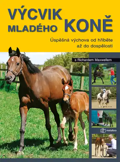 Výprodej Výchova mladého koně