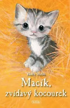 Macík, zvídavý kocourek Levný