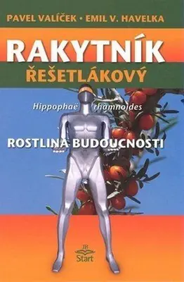Top Prodej Rakytník řešetlákový - rostlina budoucnosti
