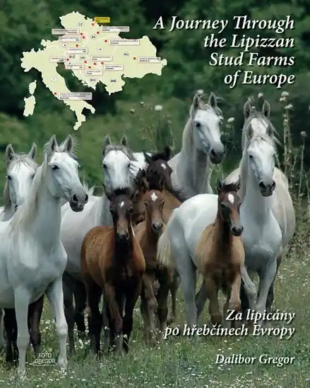 Hit Sezóny Za lipicány po hřebčínech Evropy / A Journey Through the Lipizzan Stud Farms of Europe