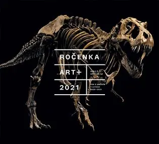 Jen Po Omezenou Doba Ročenka Art + 2021