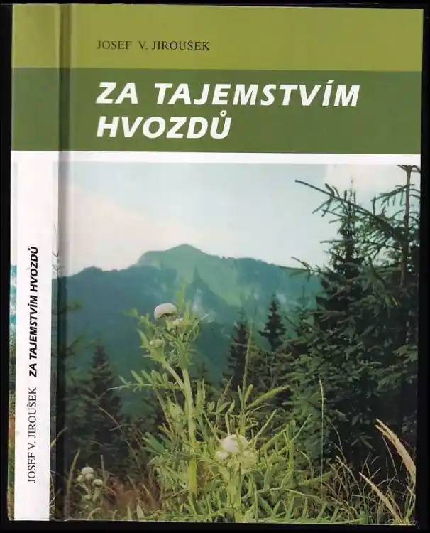 Za tajemstvím hvozdů Koupit Online