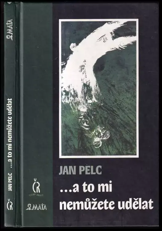 --a to mi nemůžete udělat Nejlepší Volba