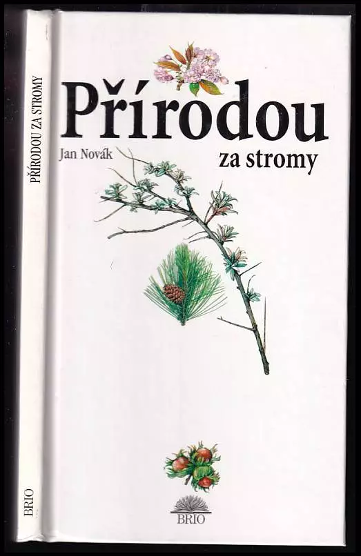 Přírodou za stromy Kup Teď